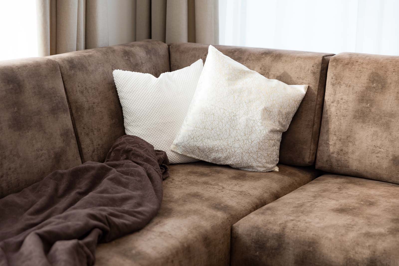 (C)ungerank Com 0K8A6323